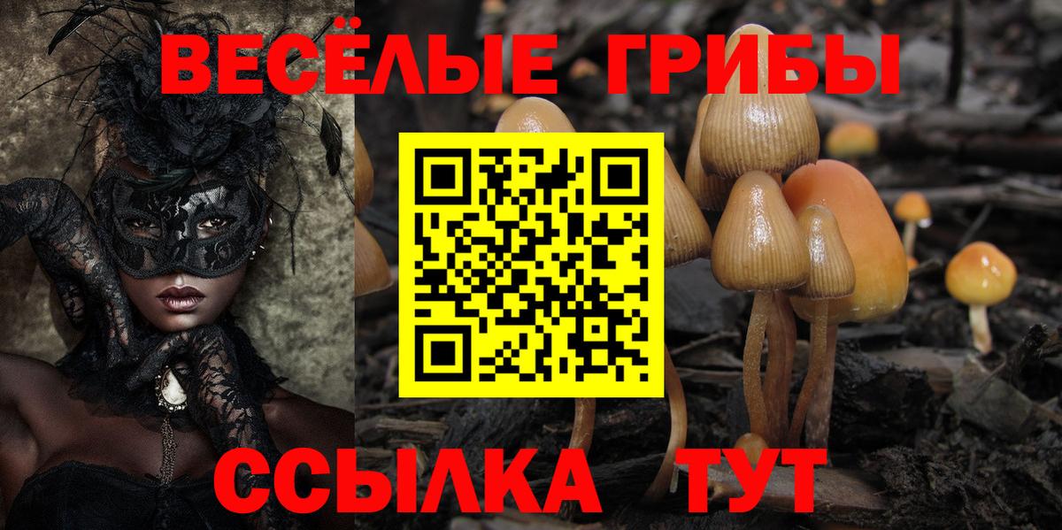 Галлюциногенные грибы мухоморы Камень-на-Оби