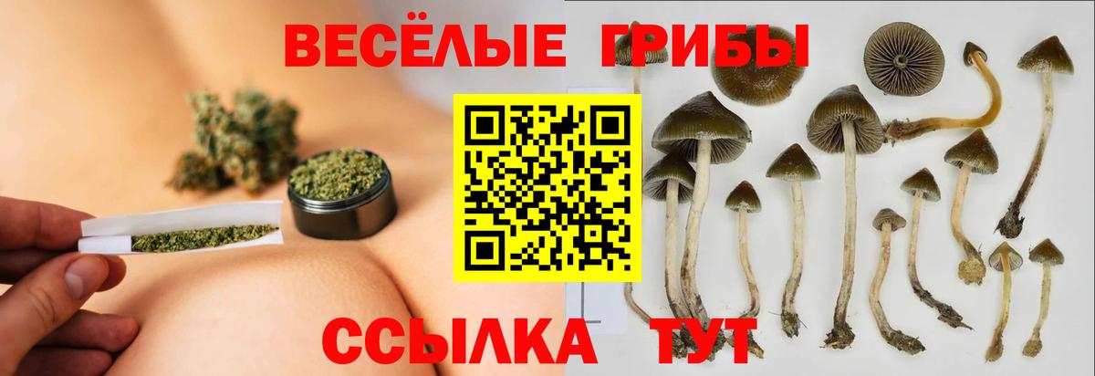 Галлюциногенные грибы GOLDEN TEACHER  Вход с VPN  Камень-на-Оби 